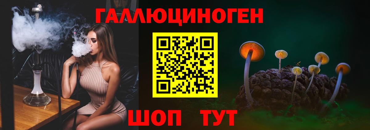 где найти   Псилоцибиновые грибы Magic Shrooms  Вход с VPN  Саров 